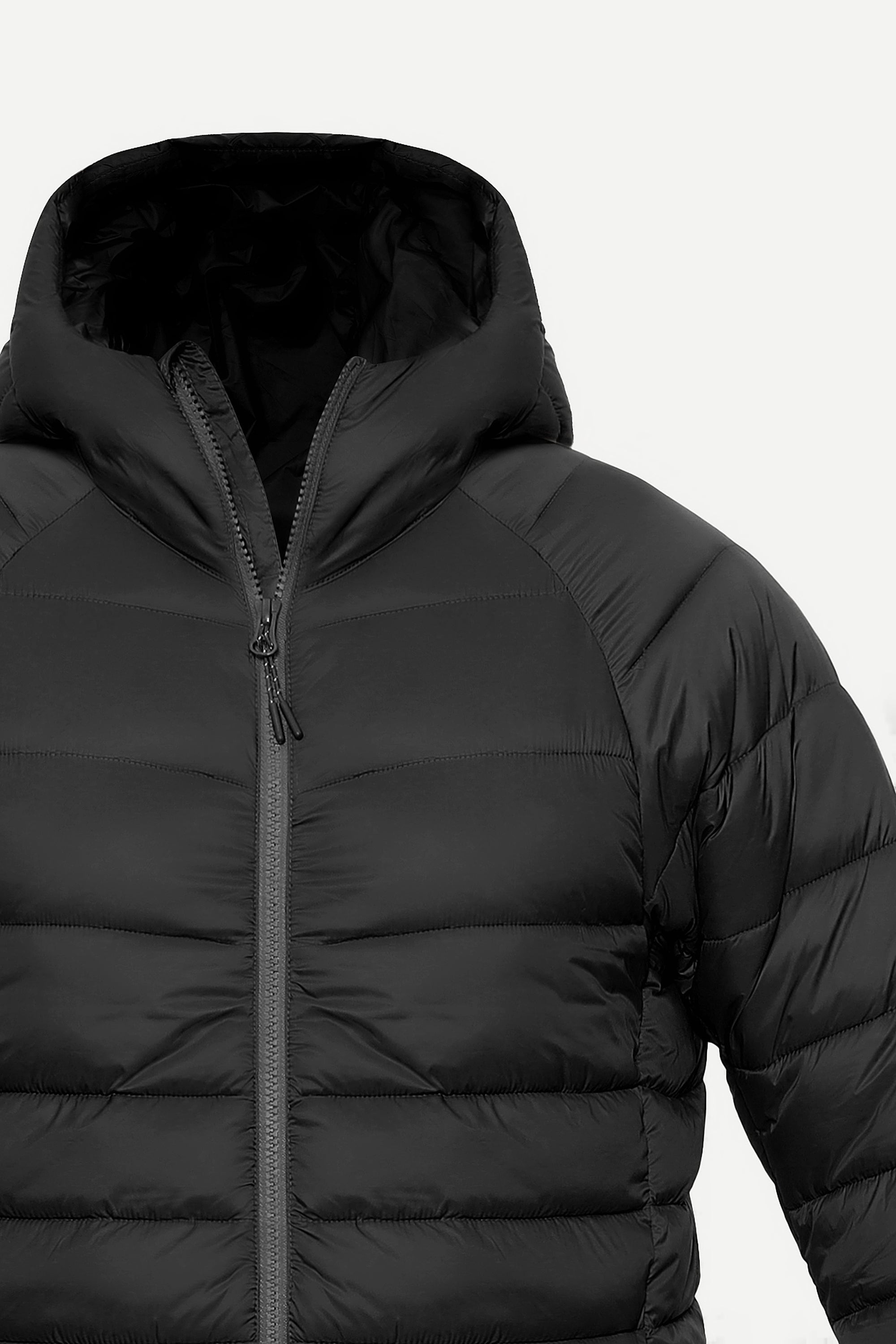 FUJI Puffer Series VII