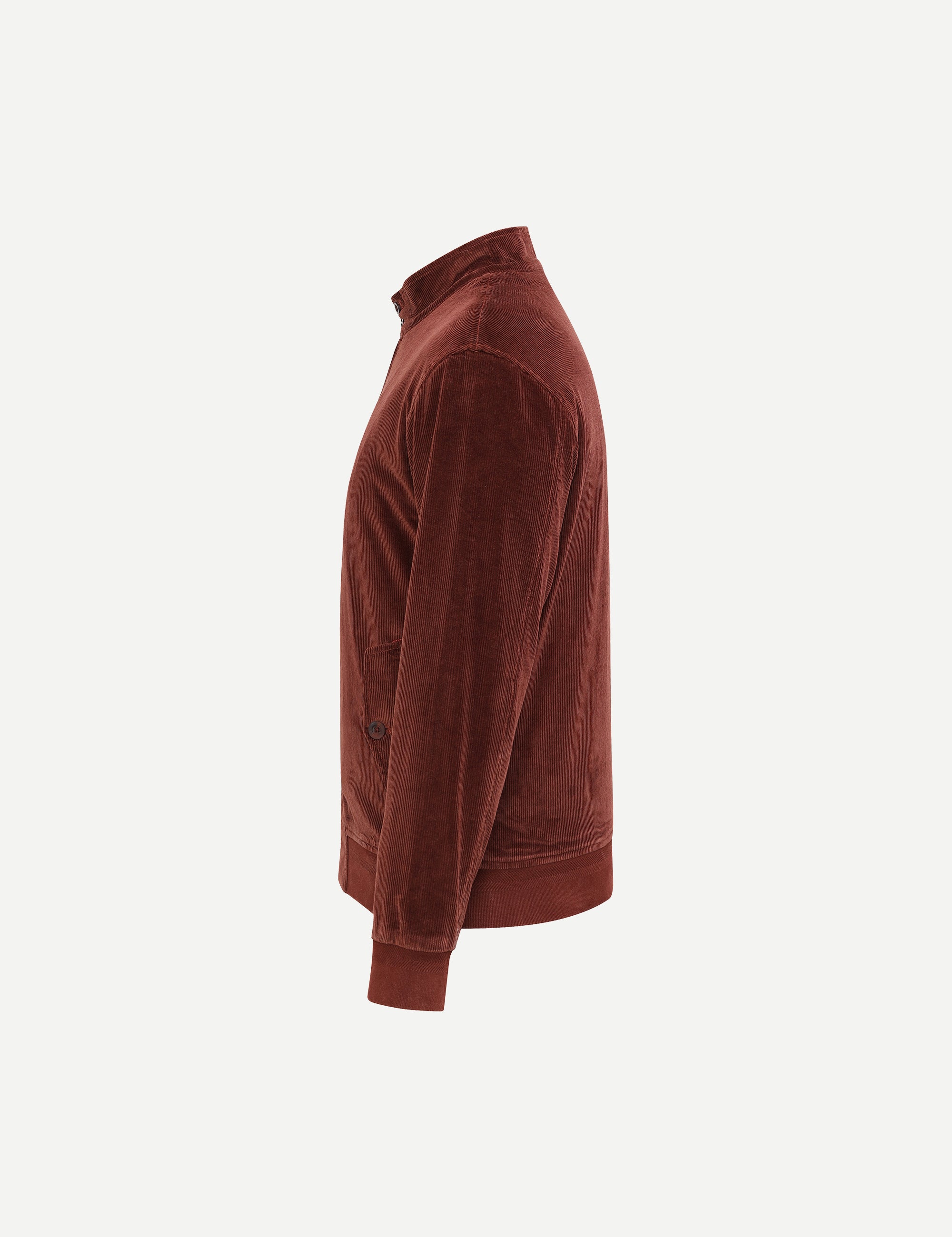 Wine corduroy Harrington jacket with stand collar, two-button tab and two-way metal zip