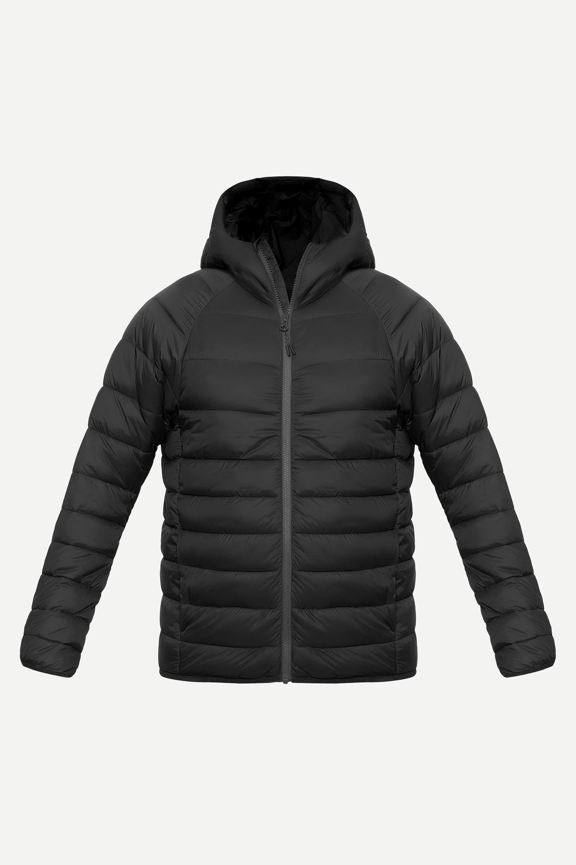FUJI Puffer Series VII