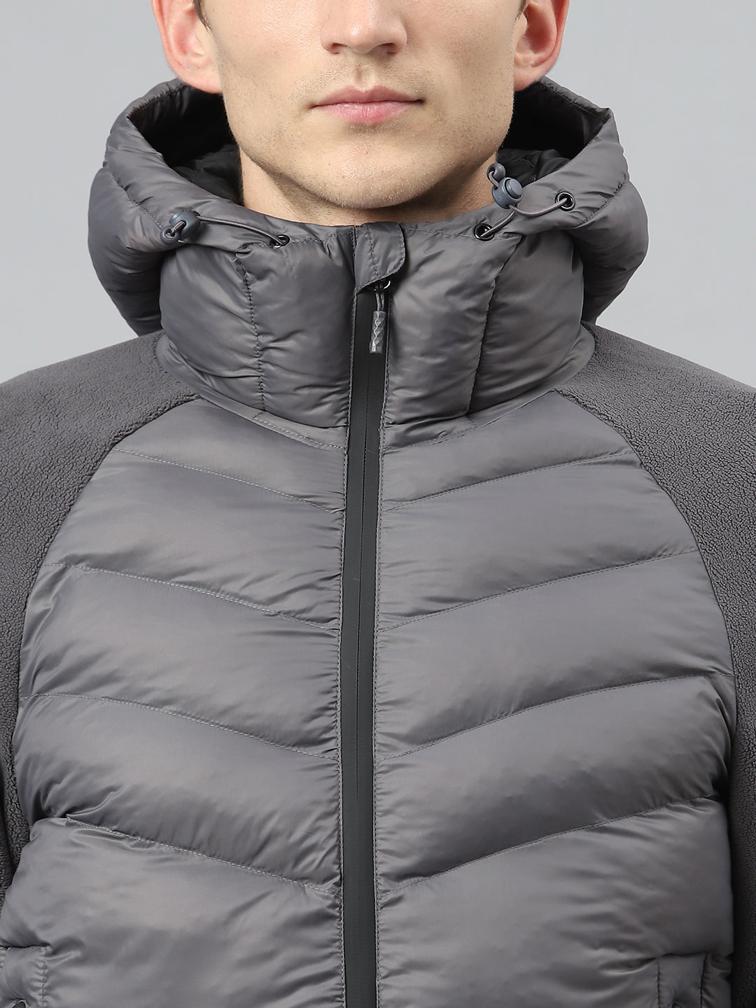 Fuji Hybrid Series I